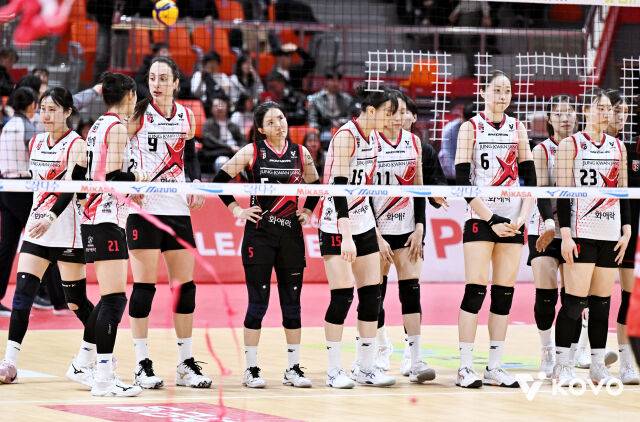 정관장 선수들./KOVO