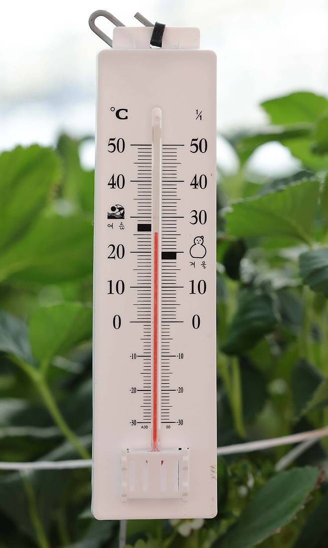 충남 서산 에스피아그리 딸기 스마트팜에 있는 온도계가 26도를 나타내고 있다.