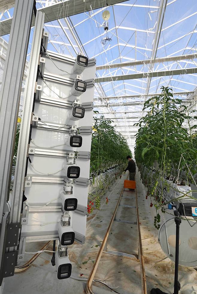 전북 김제 스마트팜 혁신밸리에서 한 직원이 영상 기반 생육 분석 로봇을 운영하고 있다.