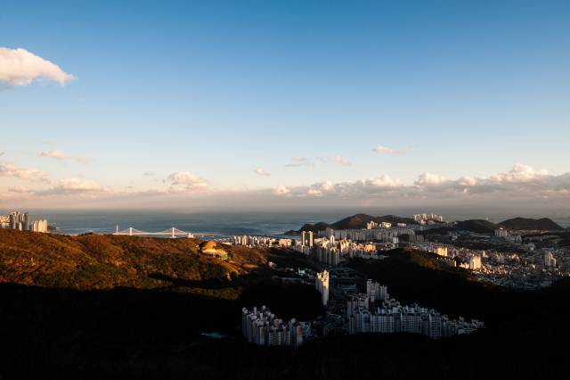 황령산에서 내려다 본 부산 아파트 전경. 이인미 제공