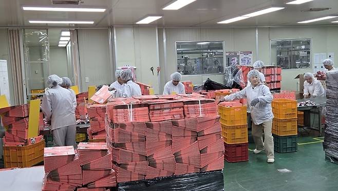 ▲ 동서웰빙 직원들이 제품을 포장하고 있다.