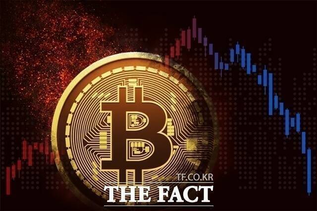 23일 가상자산시장 데이터업체인 코인마켓캡에 따르면 이날 오전 11시 46분 현재 비트코인 가격은 24시간 전에 비해 4.6% 떨어진 6만4843달러에 거래되고 있다. /더팩트 DB