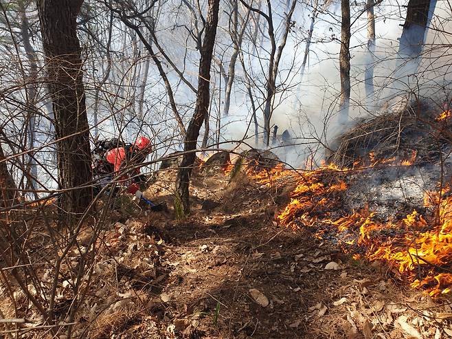 경남 함양 산불 사흘째인 23일 오전 함양군 마천면 산불 현장에서 산림청 산불재난특수진화대원들이 방화선을 구축하며 진화 작업을 벌이고 있다. 산림청 제공.