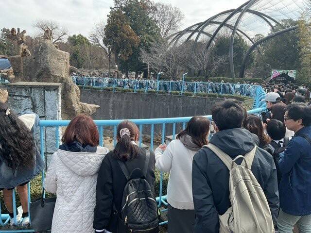 지난 22일 ‘펀치’를 보기 위해 몽키 마운틴에 몰려든 관람객들. 이치가와시 동식물원 엑스(X) 갈무리