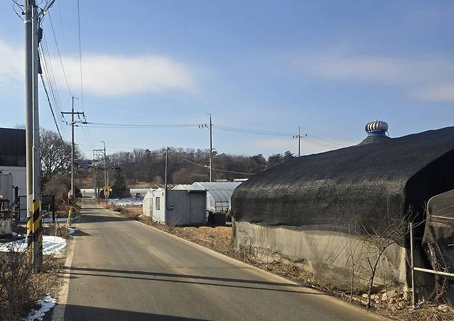 인천 강화군 장애인거주시설 색동원 쪽으로 들어가는 길목. 색동원 건물 뒤로는 산이, 앞으로는 밭과 비닐하우스 등이 있다.