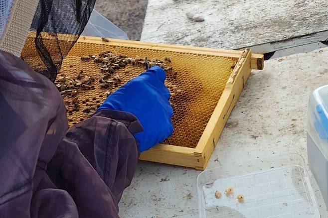 ������ǰ�� �����ڰ� �ܹ� ���� �˻縦 ���� �÷Ḧ ä���ϰ� �ִ�. ������ǰ��