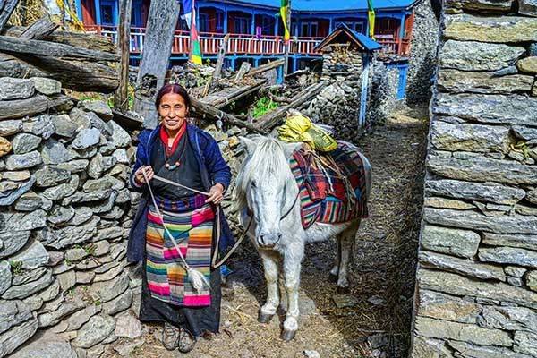 리미마을에서 말을 끌고 나오는 현지 여인.