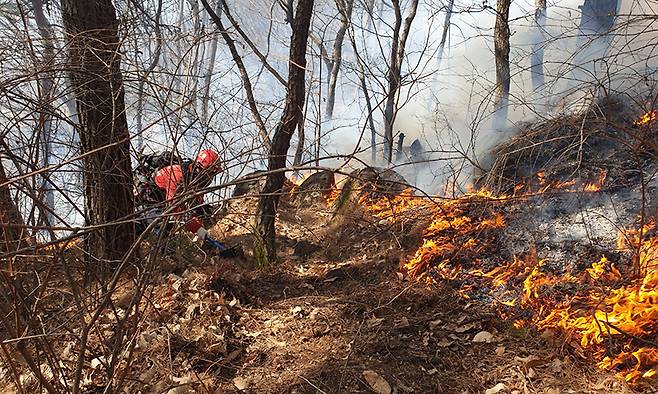 경남 함양 산불 사흘째인 23일 오전 함양군 마천면 산불 현장에서 산림청 산불재난특수진화대원들이 방화선을 구축하며 진화 작업을 벌이고 있다. 산림청 제공