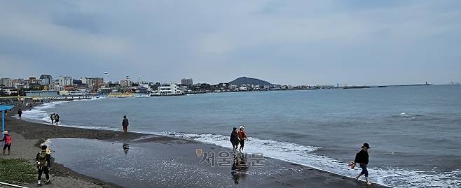 제주 삼양해수욕장의 검은 모래는 민간 웰니스(Wellness) 산업에서 활용 가능성이 입증된 자원으로 평가받고 있다. 사진은 제주 방문객들이 검은모래해변에서 어싱(Earthing·맨발 걷기)을 즐기는 모습. 제주 강동삼 기자