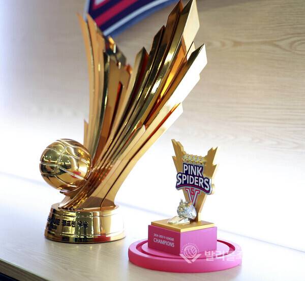 흥국생명, 2024-2025V리그 여자부 챔피언 우승컵과 우승반지 모습.