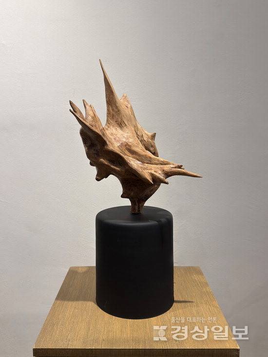 ▲ 장상만 '날다2'