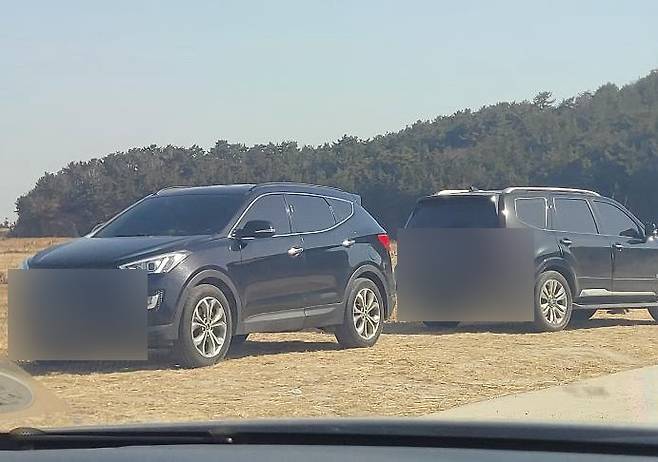 제보자는 "차에서 사체를 꺼내 던졌다"고 말했다. (사진 제보자 제공)/뉴스펭귄