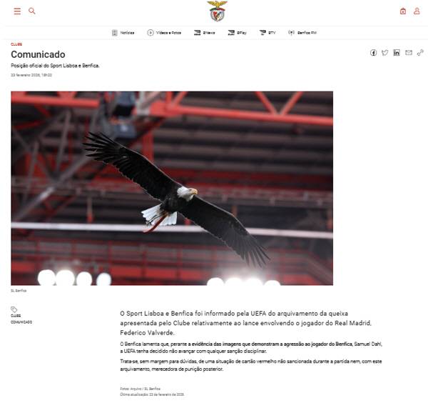 벤피카 홈페이지