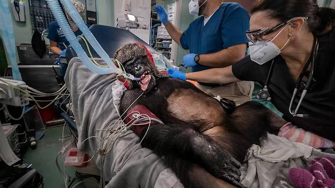 2026 세계 자연 사진 어워즈