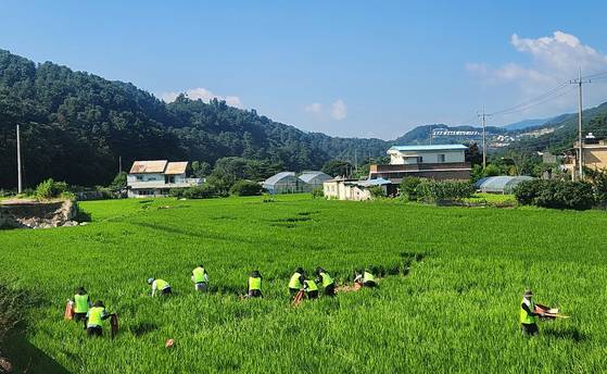 경기 가평군 조종면의 농가. 사진 농협 강원본부 제공