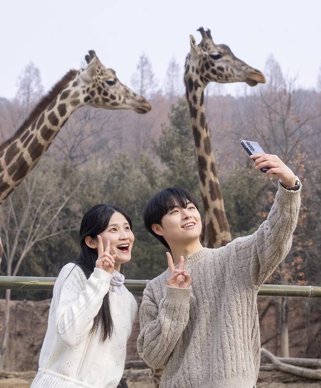 ‘에티오피아에서 못본 기린 에버랜드에서 생생하게 보았네’ 워킹사파리가 오는 26일 열린다.