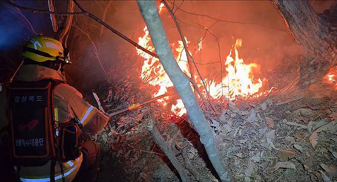 8일 저녁 경북 경주시 문무대왕면에서 소방관계자들이 산불 진화 작업을 하고 있다. [경북소방본부 제공]
