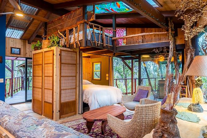 비밀 가득한 트리하우스