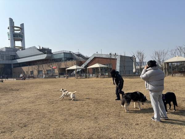 지난 20일 방문한 오산 반려동물테마파크 야외 ‘반려견 운동장’에 강아지들과 반려인들이 뛰어놀고 있다. 2026.2.20 /특별취재팀