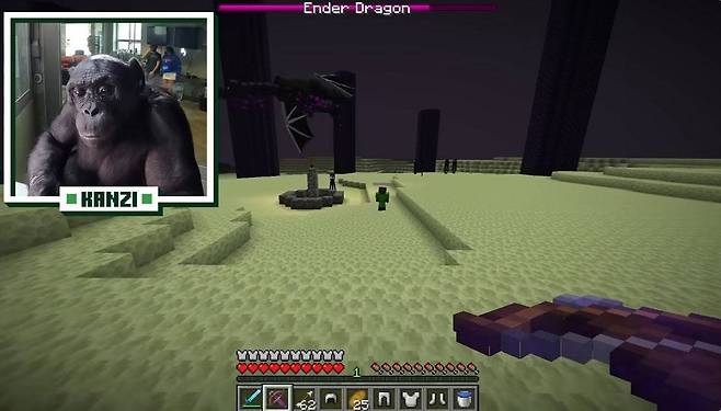 칸지가 엔더드래곤을 잡고 있다 / 연구기관과 협업한 ChrisDaCow채널 영상 갈무리