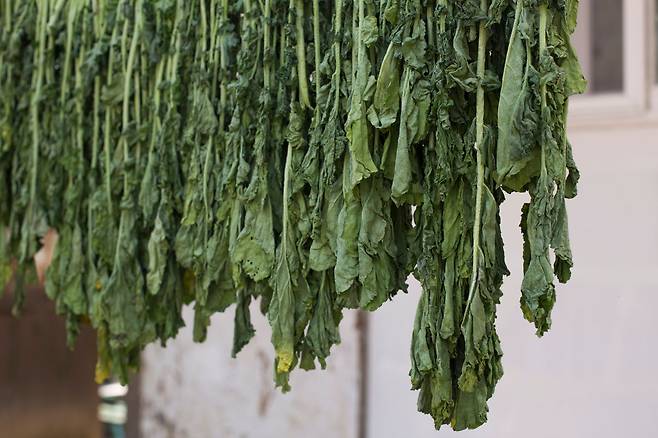 된장찌개를 끓일 때 부추, 시래기, 무를 넣으면 영양 효능이 배가된다. /클립아트코리아