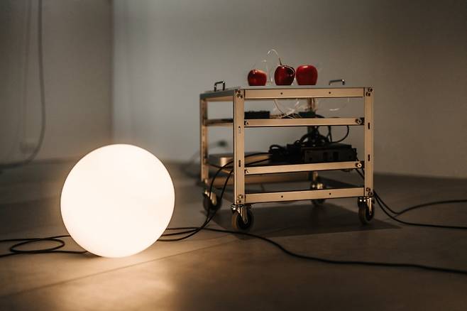 유코 모리 '분해', 2025. 'LED'(프로젝트 풀필 아트 스페이스, 타이베이, 2025) 전시 전경. 작가 및 프로젝트 풀필 아트 스페이스 제공.