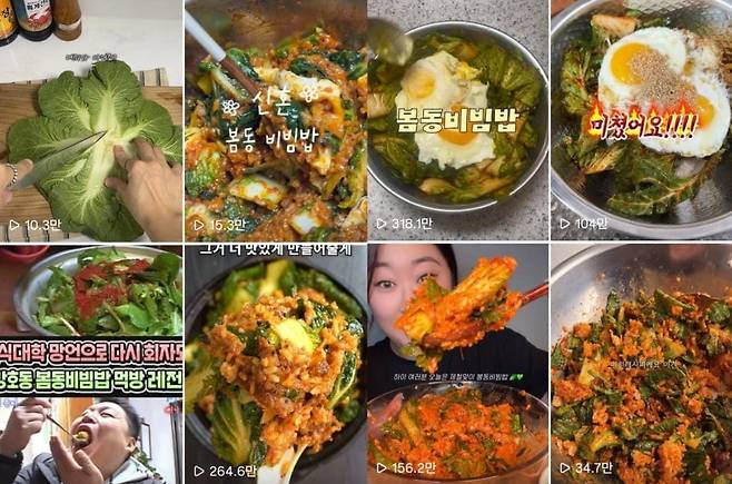 SNS를 중심으로 확산 중인 ‘봄동 비빔밥’ 게시물. 인스타그램 캡처