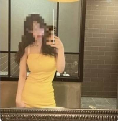 캄보디아 피싱 조직은 일반 여성의 사진을 도용해 일본인 여성을 사칭하는 방식으로 로맨스 스캠 사기를 벌였다./사진=서울경찰청