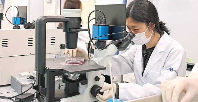 광교 경기바이오센터 내 경기바이오허브 ‘랩 스테이션’에 입주한 ㈜에이바이오테크 연구원들이 현미경을 활용해 세포를 관찰하고 있다. /경기도경제과학진흥원 제공