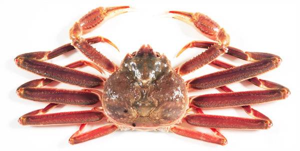 영덕대게. / 영덕군 제공