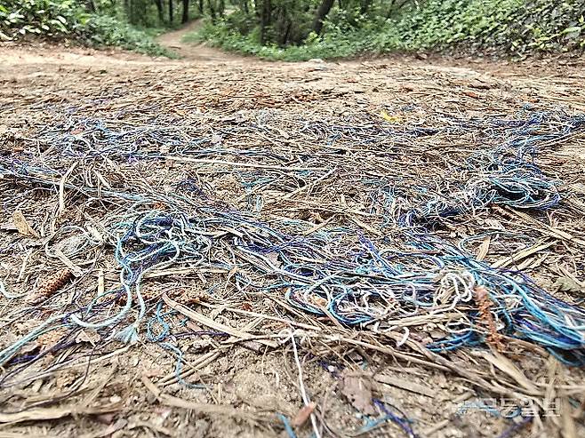 광주 북구 삼각산 둘레길 야자매트가 마모돼 합성 섬유가 드러난 모습. 광주환경운동연합 제공