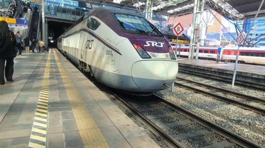 서울역 내 SRT 열차./사진=주현태 기자