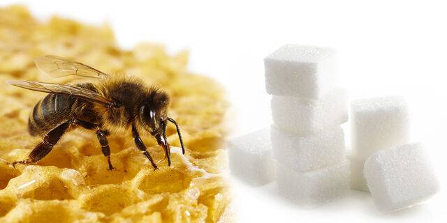 클립아트코리아