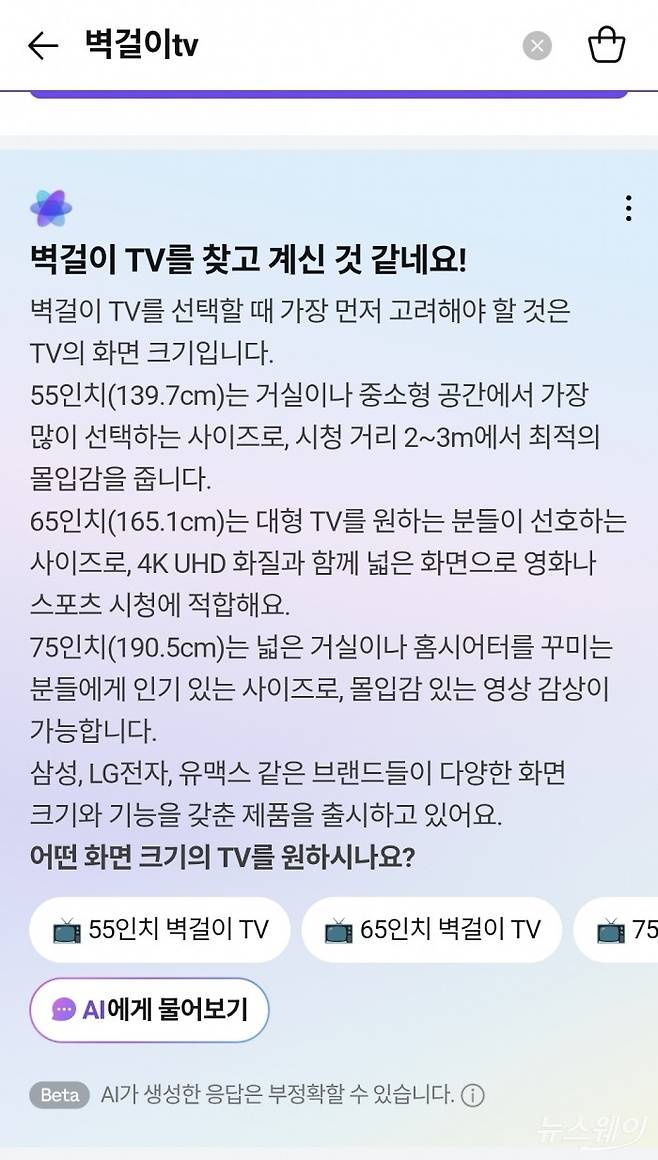 네이버플러스스토어에 벽걸이TV를 검색한 모습. 사진=네이버플러스스토어 캡쳐