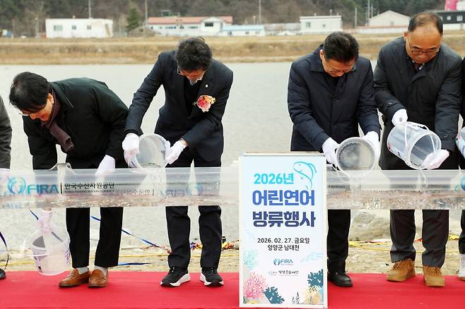 2026년 어린 연어 방류행사 [양양군 제공. 재판매 및 DB 금지]