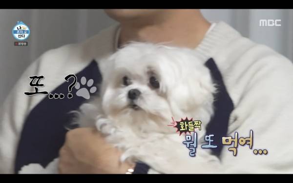 ⓒMBC '나 혼자 산다'