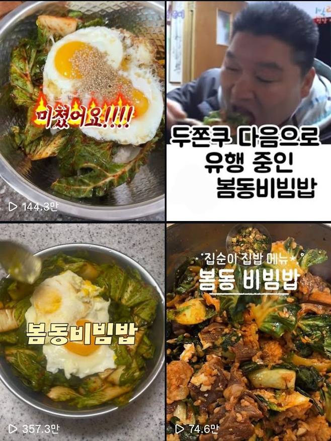인스타그램에 올라온 봄동비빔밥 게시글들. 인스타그램 화면 갈무리