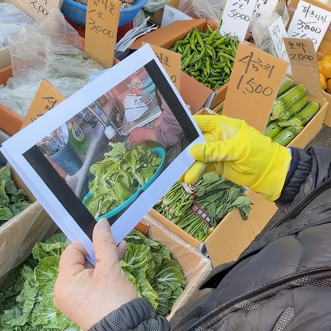 농산물 유통 관계자가 KBS 예능 ‘1박 2일’ 속 봄동 비빔밥에 사용된 채소를 살펴보고 있다. 한재경 PD