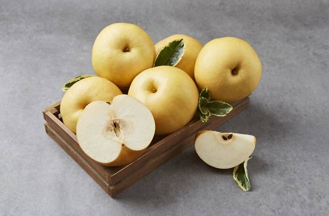 배. 아이클릭아트