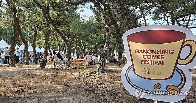 커피향 가득한 강릉의 가을 [연합뉴스 자료사진]