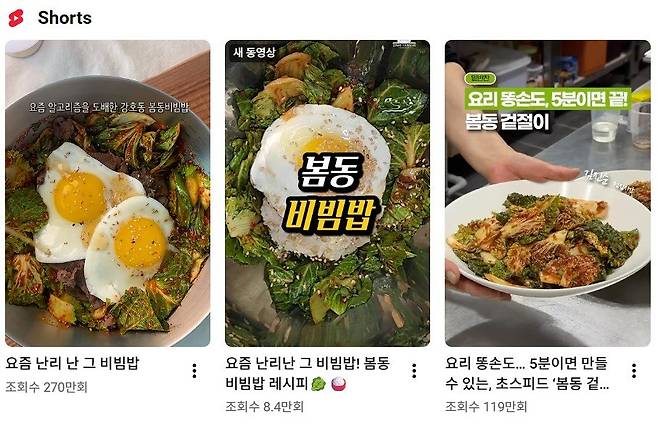 유튜브 숏폼에 다양한 봄동 레시피 영상이 검색된다.(유튜브 갈무리)/사진=뉴스1