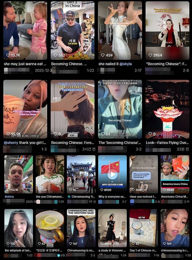 틱톡과 유튜브에서 '차이나맥싱(China Maxxing)' 혹은 '중국인 되기(Becoming Chinese)'라고 검색한 결과. 사진 틱톡, 유튜브 캡처