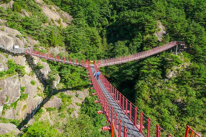 거창항노화힐링랜드의 Y자형 출렁다리