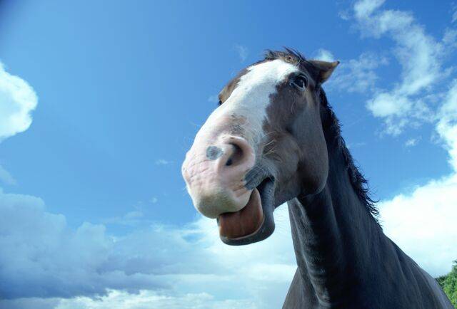 게티이미지뱅크