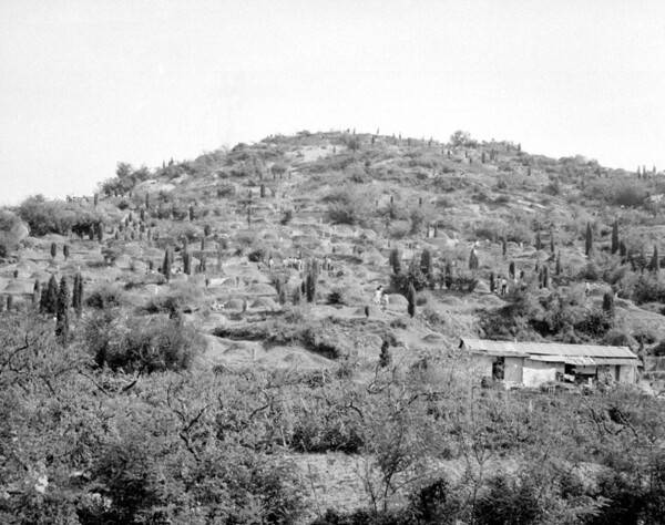 1977년도 망우리공원 모습.