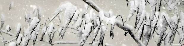 이이남 作 '묵죽도'. ACC 제공