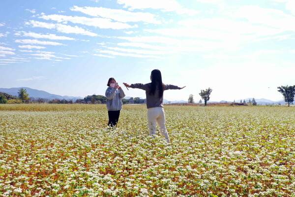 밀양 관광지 명례생태공원. /밀양시