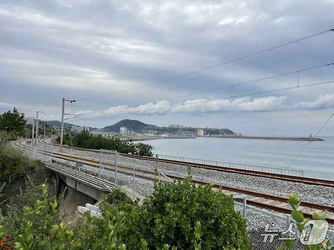 일본 가마쿠라 풍경과 비슷하다고 입소문이 난 동해시 하평해변 철길.(독자 권소담 씨 제공, 재판매 및 DB 금지)