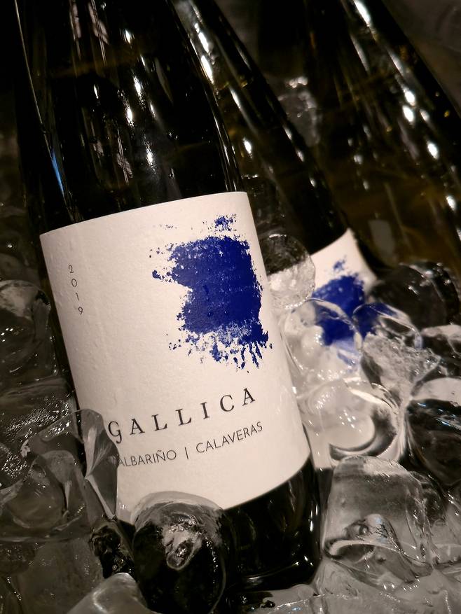 갤리카 로릭 헤리티지 알바리뇨. 최현태 기자