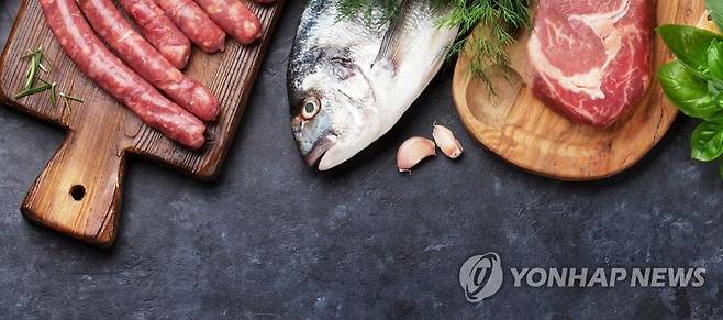 단백질 식품 [게티이미지뱅크 제공]